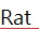 Rat